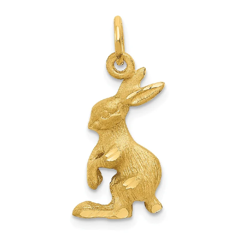 Charm Pendants with Multiple Small Decorative Elements14k Yellow Gold Jack Rabbit Charm or Pendant, 10mm