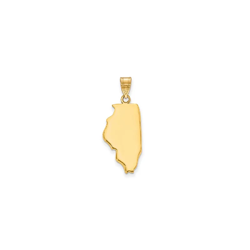 Charm Pendants with Multiple Small Decorative ElementsPlain Illinois State Pendant (14K)